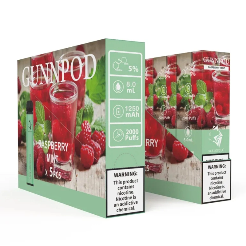 New Fashion Factory Price Wholesale Fruit Flavors Gunpod 2000puffs Disposable Vape Cigarette